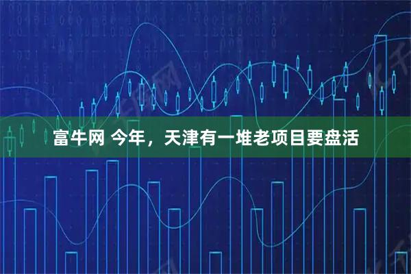 富牛网 今年，天津有一堆老项目要盘活
