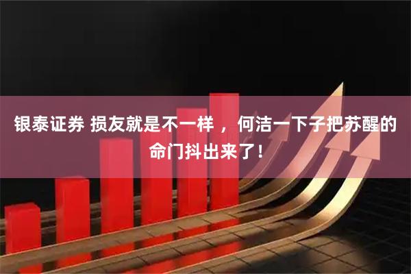 银泰证券 损友就是不一样 ，何洁一下子把苏醒的命门抖出来了！