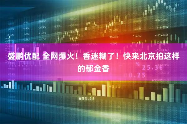 盛鹏优配 全网爆火！香迷糊了！快来北京拍这样的郁金香