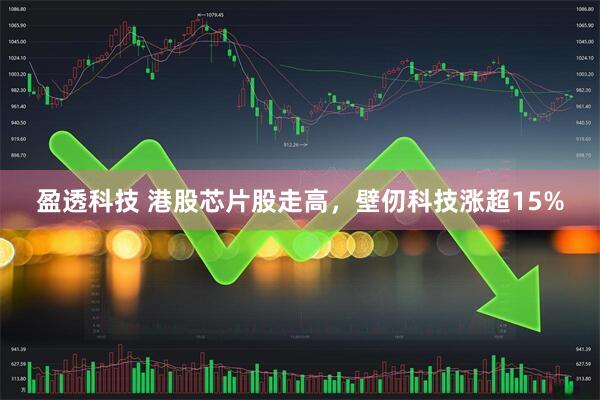 盈透科技 港股芯片股走高，壁仞科技涨超15%