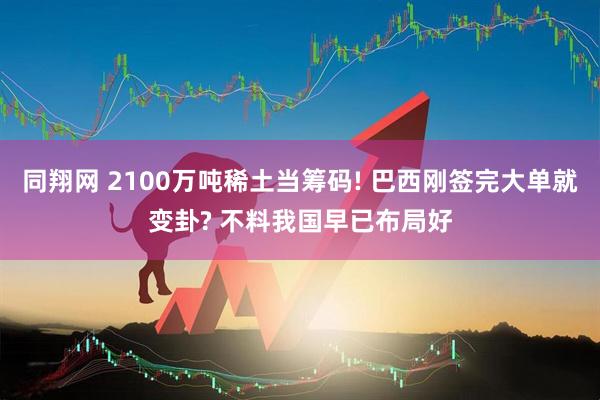 同翔网 2100万吨稀土当筹码! 巴西刚签完大单就变卦? 不料我国早已布局好