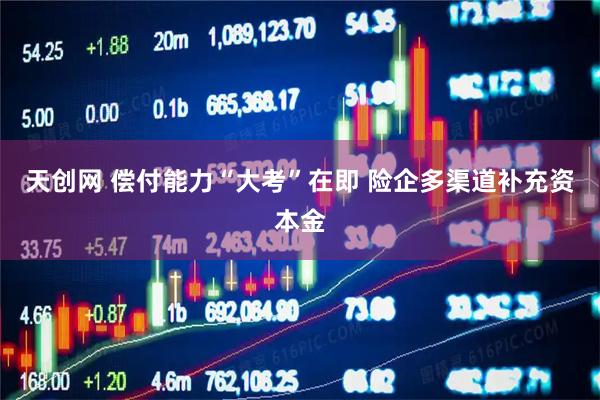 天创网 偿付能力“大考”在即 险企多渠道补充资本金