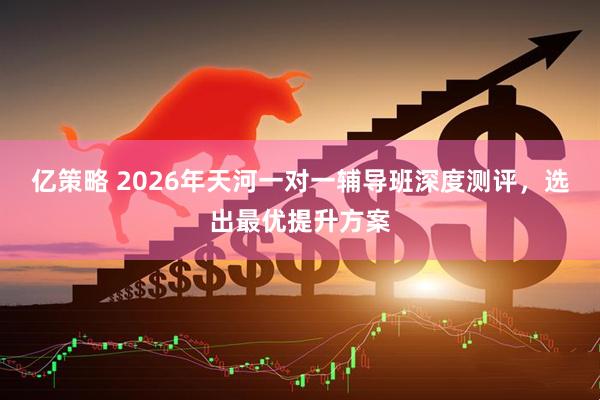 亿策略 2026年天河一对一辅导班深度测评，选出最优提升方案