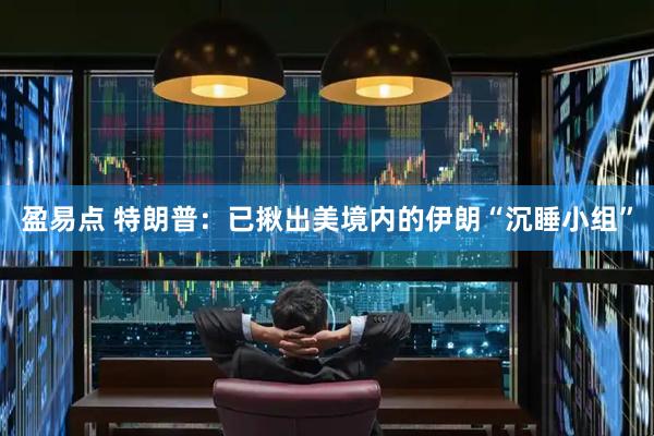 盈易点 特朗普：已揪出美境内的伊朗“沉睡小组”