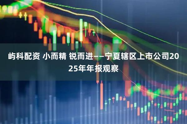 屿科配资 小而精 锐而进——宁夏辖区上市公司2025年年报观察