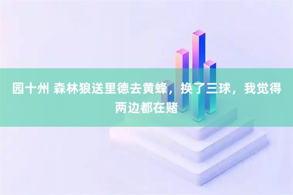 园十州 森林狼送里德去黄蜂，换了三球，我觉得两边都在赌