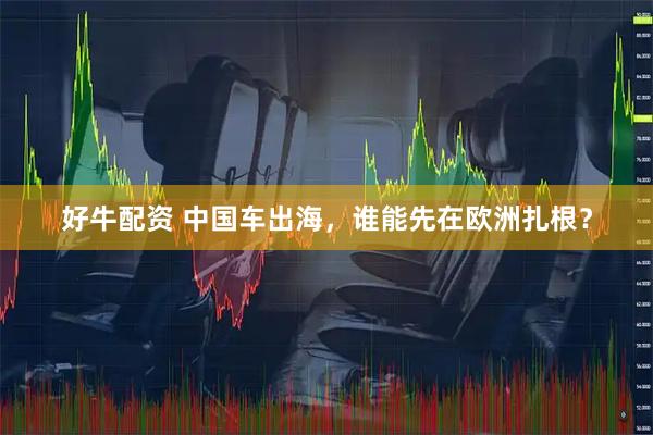 好牛配资 中国车出海，谁能先在欧洲扎根？