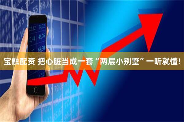 宝融配资 把心脏当成一套“两层小别墅”一听就懂!